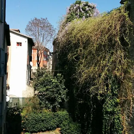 Honey House פארמה