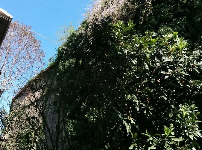 Apartment Honey House Parma