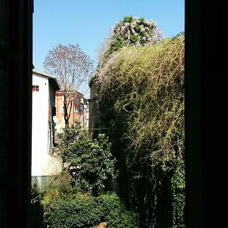 Apartment Honey House