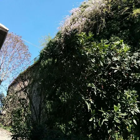 Apartmán Honey House Parma